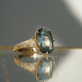 Queen Adelina ✦ 5.68ct Montana Sapphire