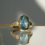 Queen Adelina ✦ 5.68ct Montana Sapphire