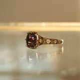 Asteria ✦ Mulberry Spinel