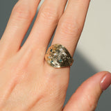 Nixie ✦ Cigar Band
